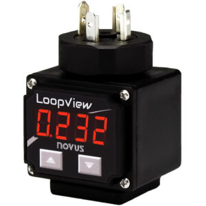 LoopView